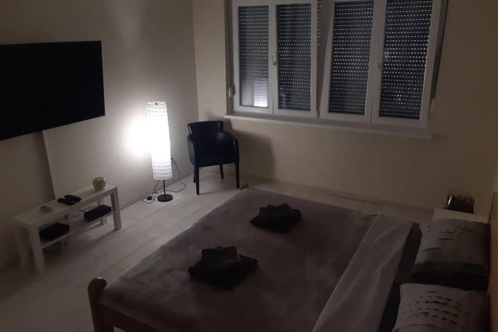 Apartman Mima Belgrado Esterno foto